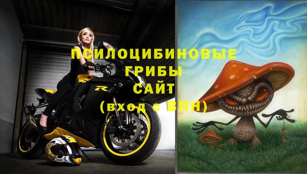 герыч Няндома