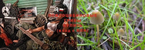 дурь Нязепетровск