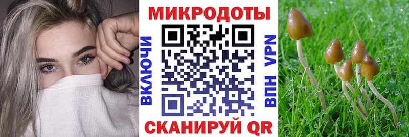 где продают   Устюжна  Псилоцибиновые грибы Psilocybine cubensis 