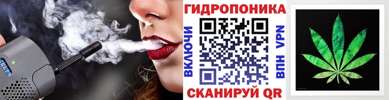 гидра зеркало  цены наркотик  Устюжна  Канабис сатива 